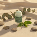 Stick Masque Purifiant — Argile & Thé Vert